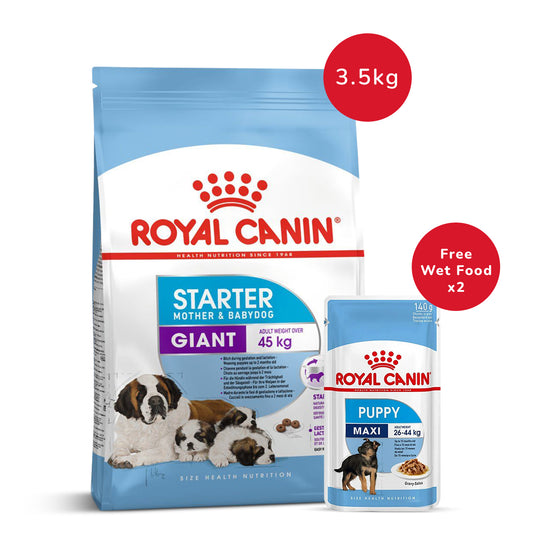 Royal Canin Giant Starter Dry Dog Food - 3.5 kg + Maxi Puppy Wet Dog Food (140gm x 2)