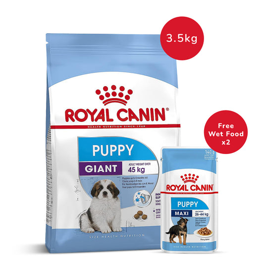 Royal Canin Giant Puppy Dry Food-3.5kg + Maxi Puppy Wet Dog Food (140gm x 2)