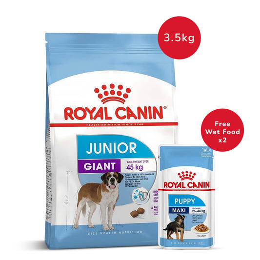 Royal Canin Giant Junior Dry Dog Food - 3.5 kg + Maxi Puppy Wet Dog Food (140gm x 2)
