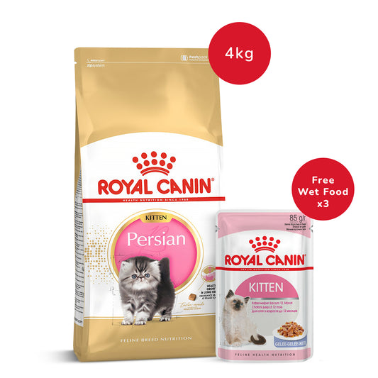 Royal Canin Persian Dry Kitten Food - 4 kg + Kitten Instinctive Jelly Wet Food - (85gm x 3)