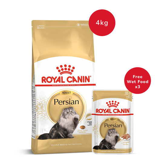 Royal Canin Persian Adult Dry Cat Food-4 kg + Persian Adult Wet Cat Food (85gm x 3)