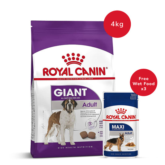 Royal Canin Giant Adult Dry Dog Food - 4 kg + Maxi Adult Wet Dog Food (140gm x 3)