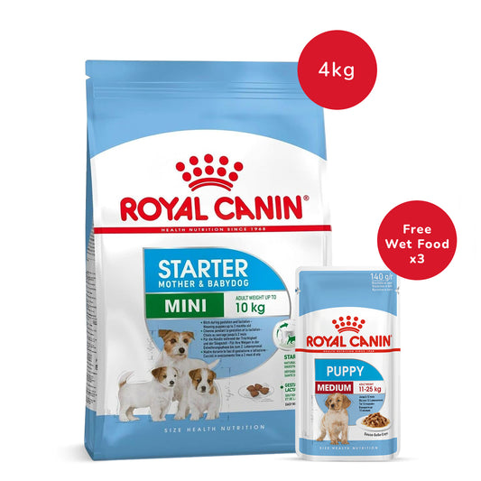 Royal Canin Mini Starter Dry Dog Food - 4 kg + Mini Puppy Wet Dog Food - (85gm x 3)